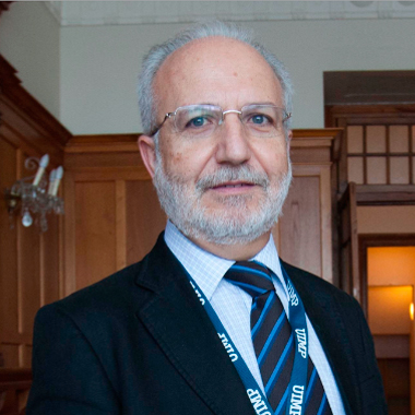 Manuel Jesús Dolz Lago