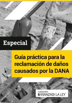 Dosier: Cómo y dónde se puede reclamar las indemnizaciones por los daños y perjuicios sufridos por las inundaciones | Aranzadi LA LEY
